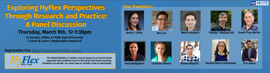Exploring HyFlex Perspectives Through Research and Practice: A Panel Discussion