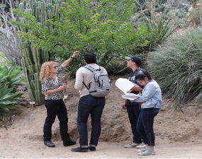 three people looking at a plant