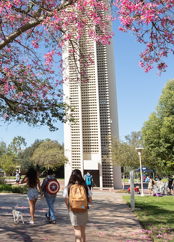 UCR Belltower