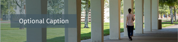 Rivera Library Arches