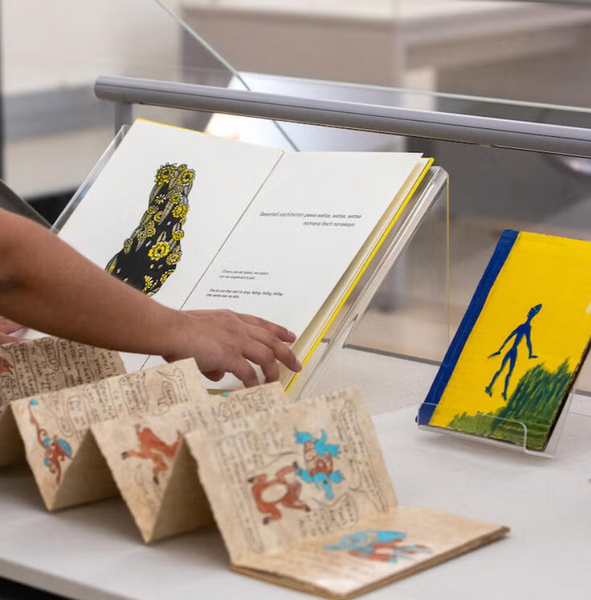Picture of Books