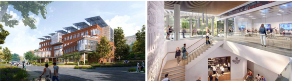 school of business