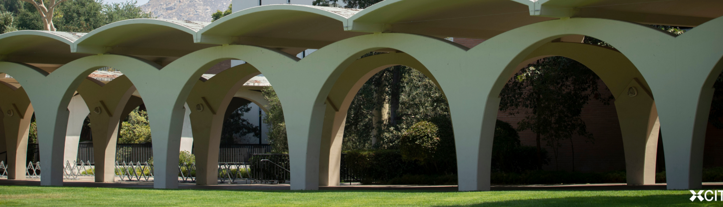 Rivera Library