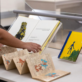 Picture of Books